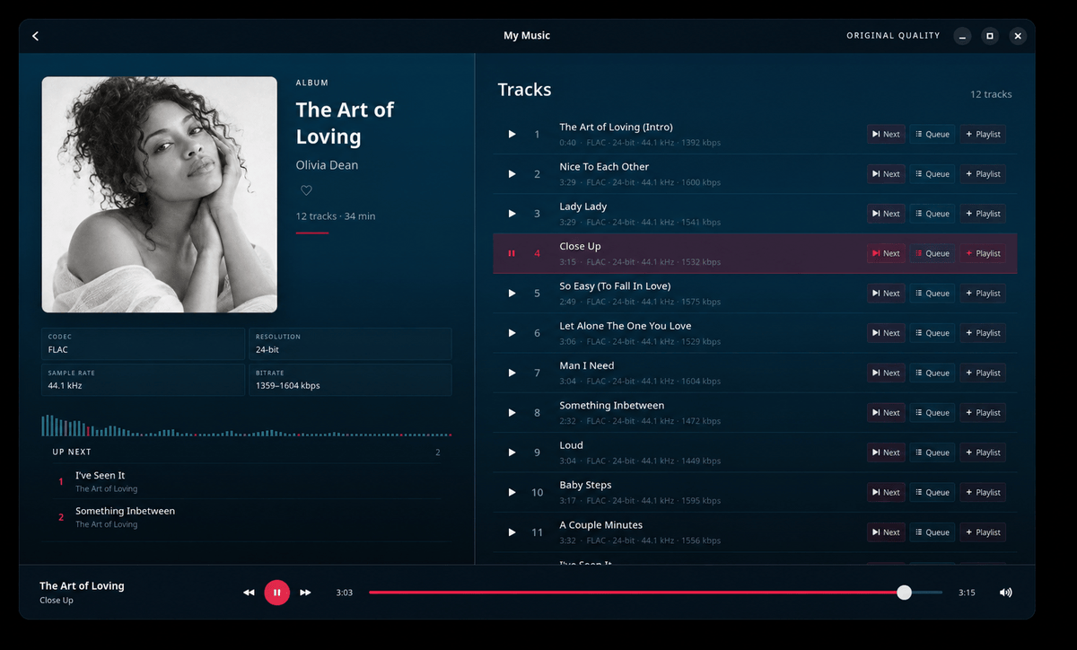 HyperBook desktop album detail with tracks and playback queue